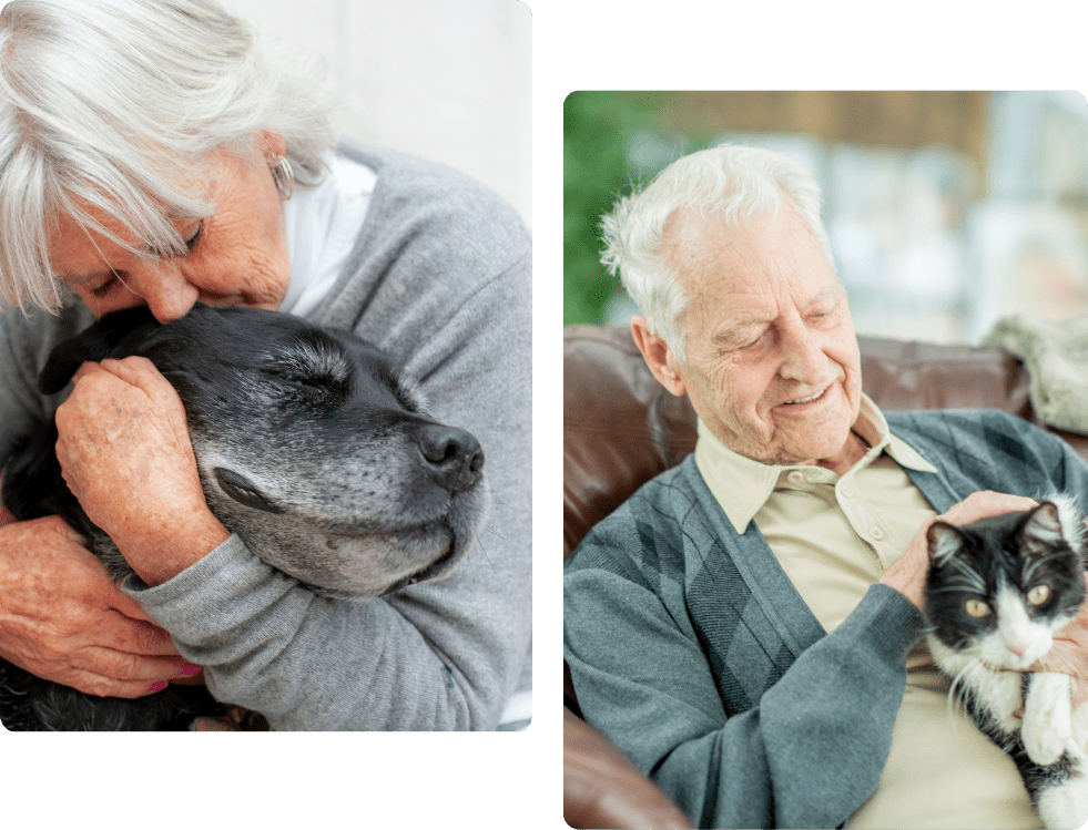 Elderly individuals with their pets, showcasing pet-friendly home care services. One image shows an elderly person holding a dog, while another shows an elderly person with a cat.